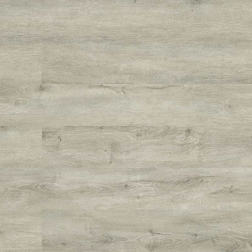 MSI Everlife Twilight Oak Glue Down Luxury Vinyl Flooring — Katavia Collection