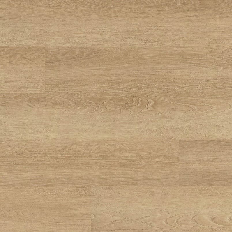 MSI Everlife Waldorf Glue Down Luxury Vinyl Flooring — Acclima Collection