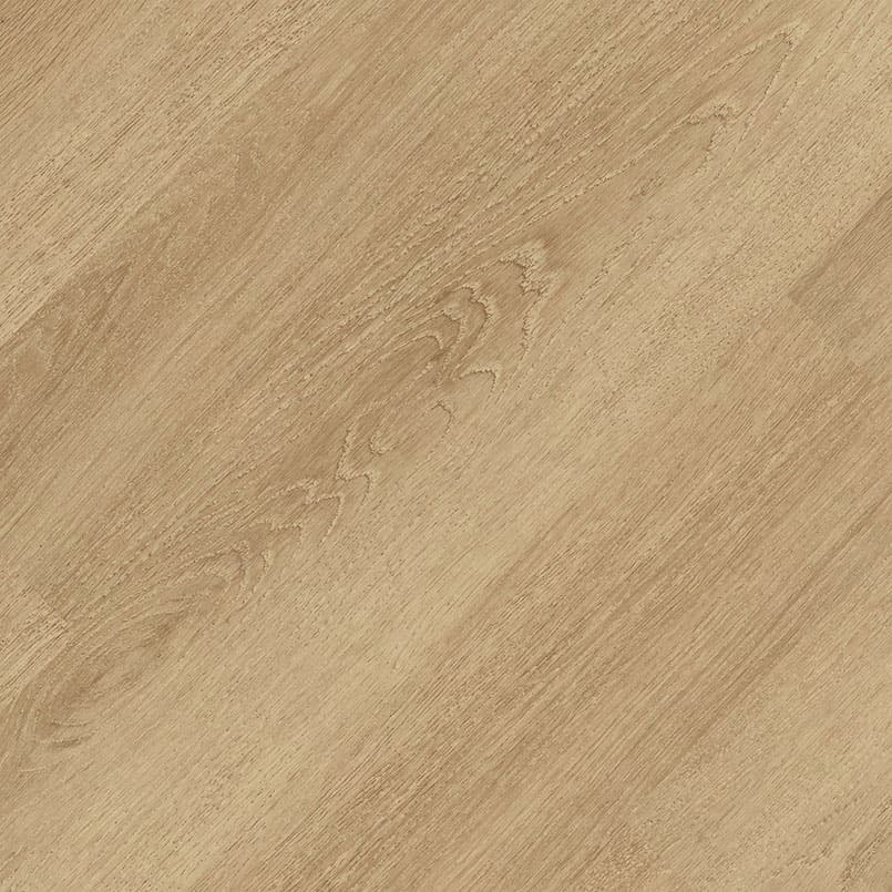 MSI Everlife Waldorf Glue Down Luxury Vinyl Flooring — Acclima Collection — detail view 8