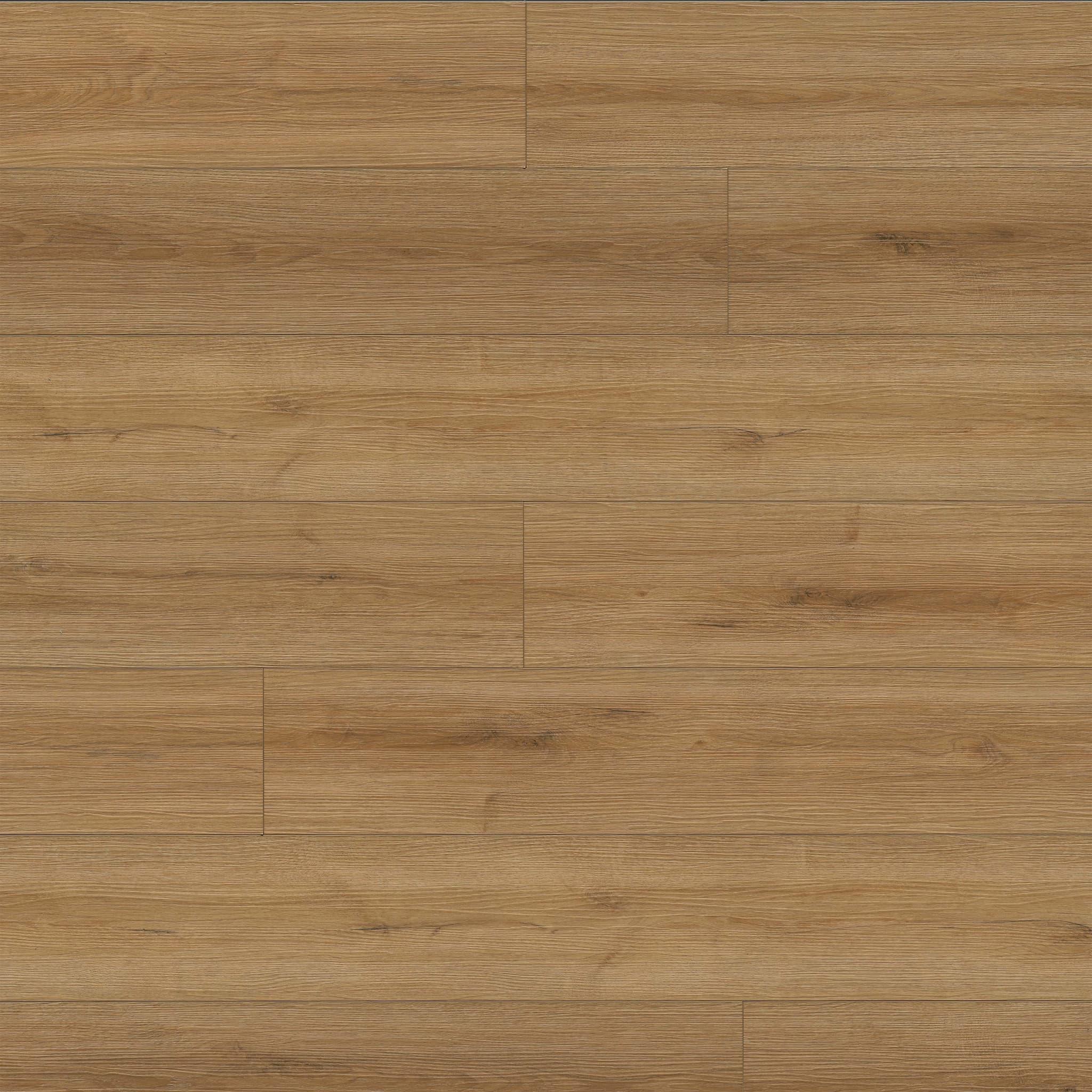 MSI Everlife Amber Forrester 100% Waterproof Rigid Core (SPC) Flooring — XL Prescott Collection — plank close-up