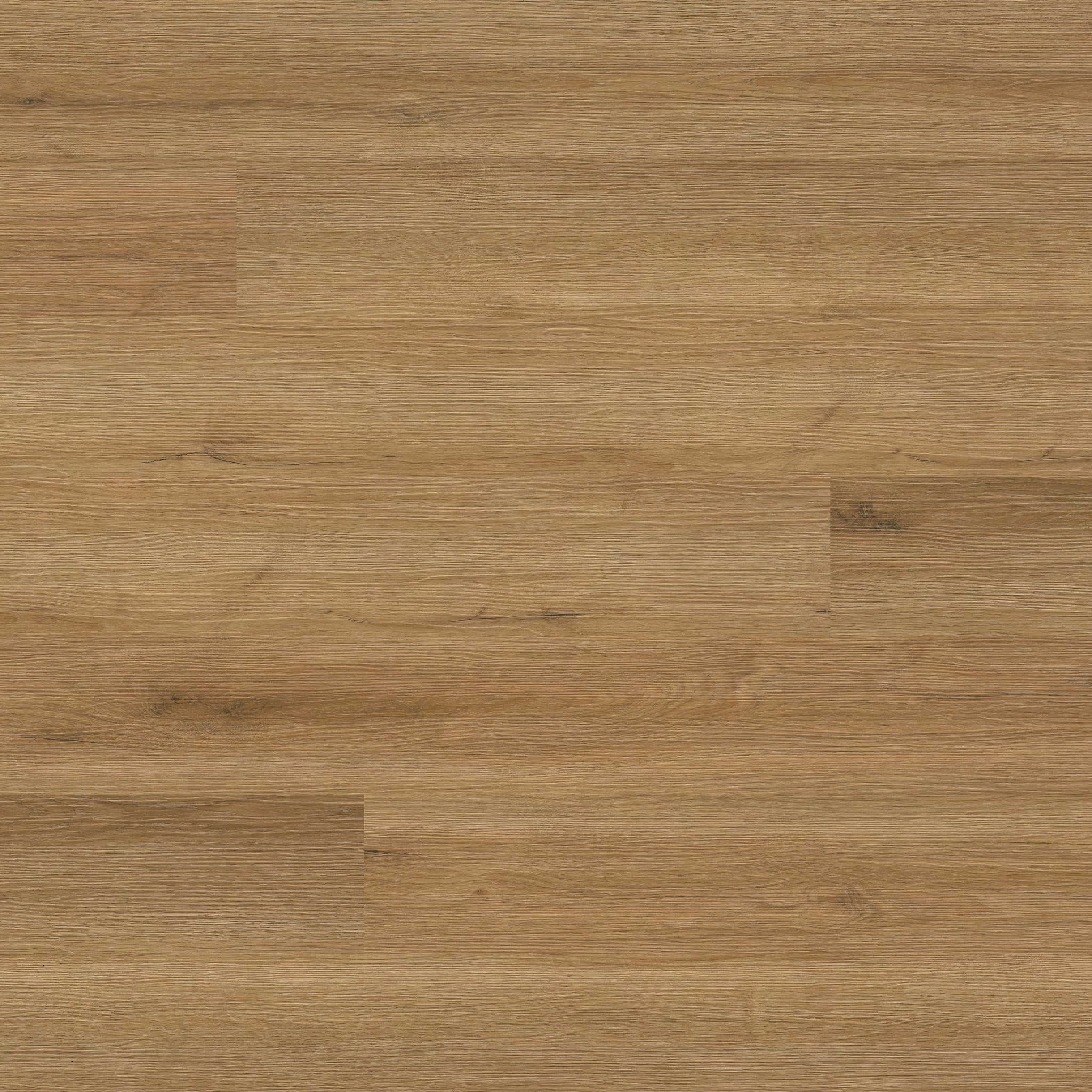 MSI Everlife Amber Forrester 100% Waterproof Rigid Core (SPC) Flooring — Prescott Collection — plank close-up