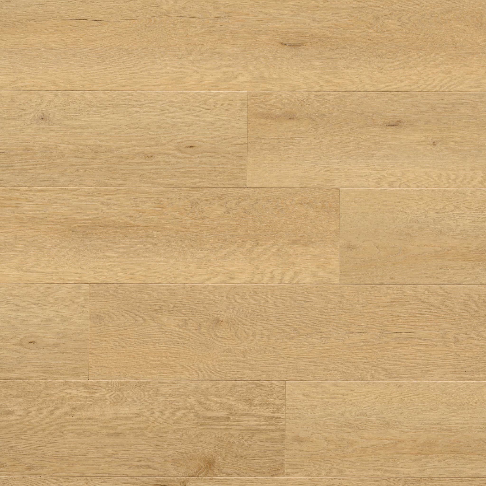 MSI Everlife Bluffview 100% Waterproof Rigid Core (SPC) Flooring — Wayne Parc Reserve Collection — plank close-up