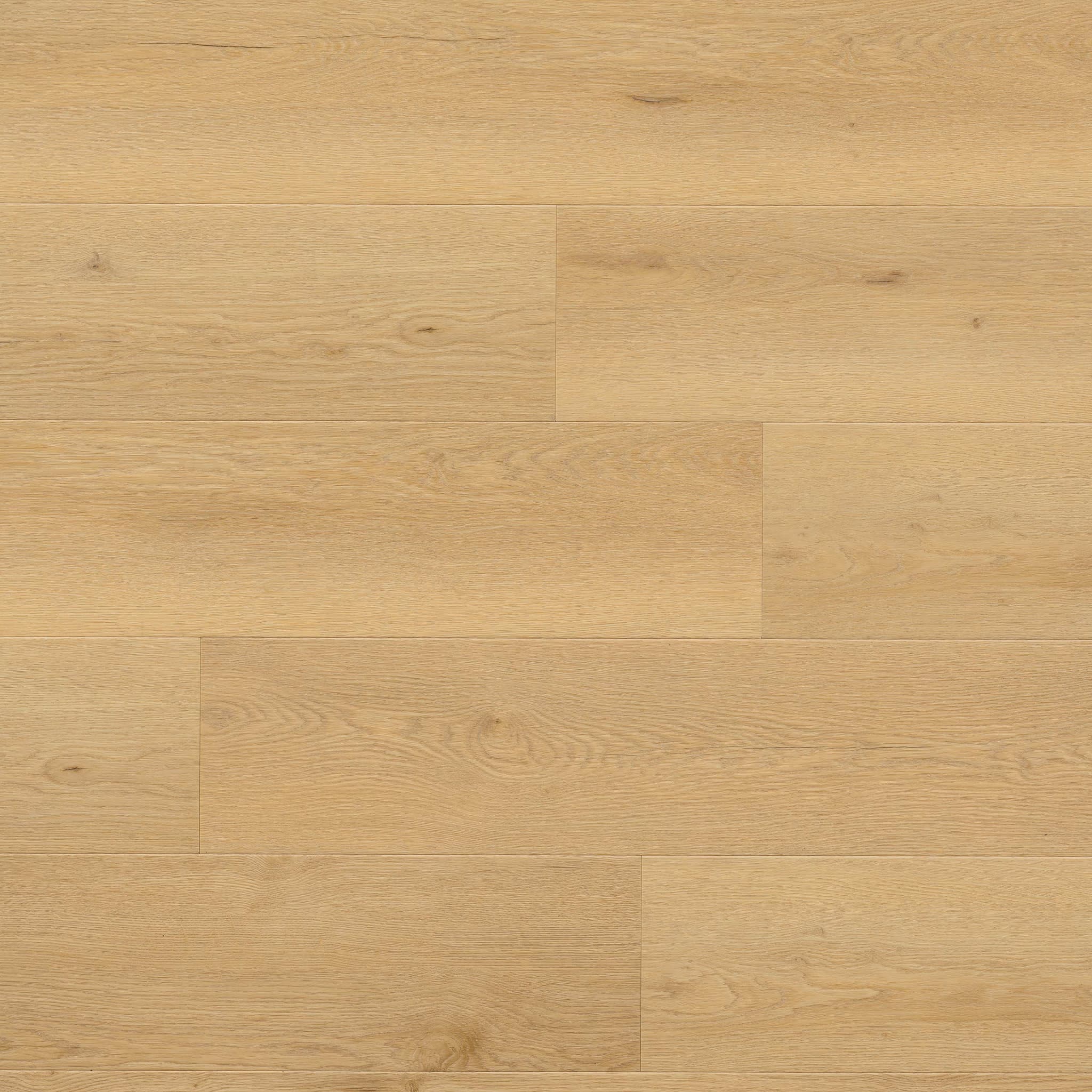MSI Everlife Bluffview 100% Waterproof Rigid Core (SPC) Flooring — Wayne Parc Collection — plank close-up