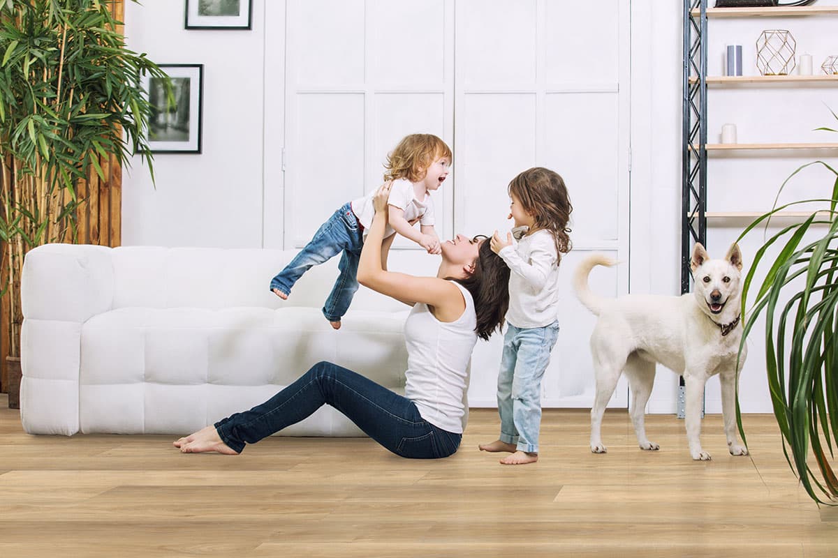 MSI Everlife Bayhill Blonde 100% Waterproof Rigid Core (SPC) Flooring — Andover Collection — installed in room